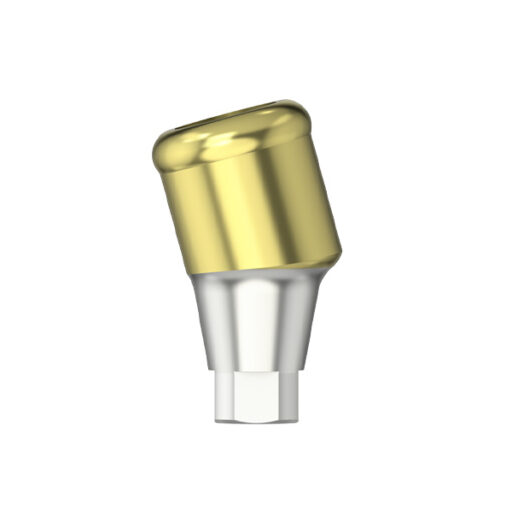 IPS - Pilier MedentiLOC angulé 15° - RI - HG 2.0/3.0 - type 1