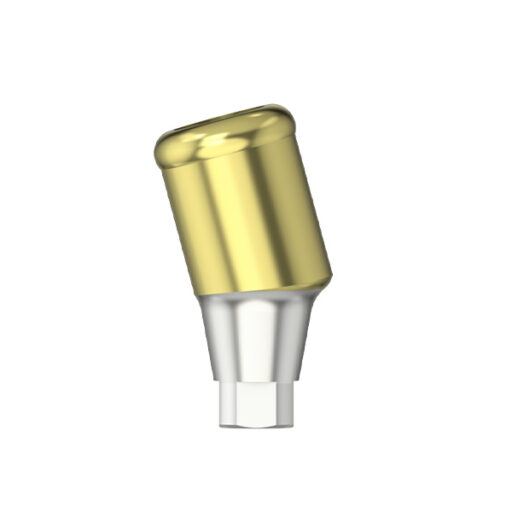 IPS - Pilier MedentiLOC angulé 15° - RI - HG 3.0/4.0 - type 1