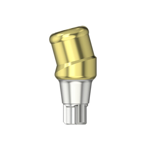 D-Serie - Pilier Medentiloc angulé 15° type 2 HG 3,0 mm ø 3,8/4,3 mm