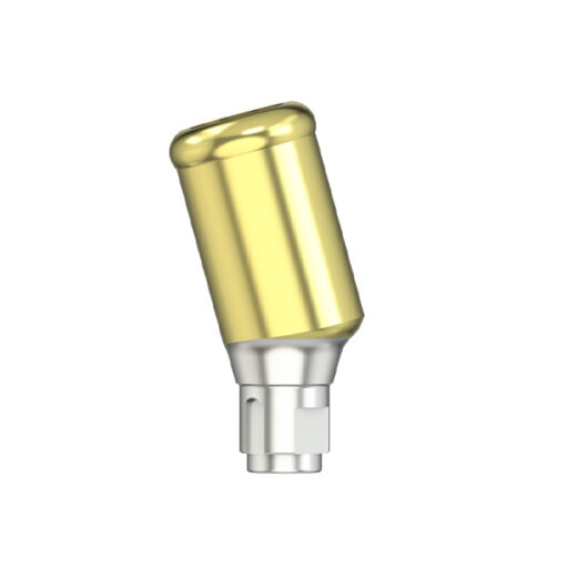 L Série - Pilier MedentiLOC angulé 15° - NC - HG 4.0/5.0 - type 2